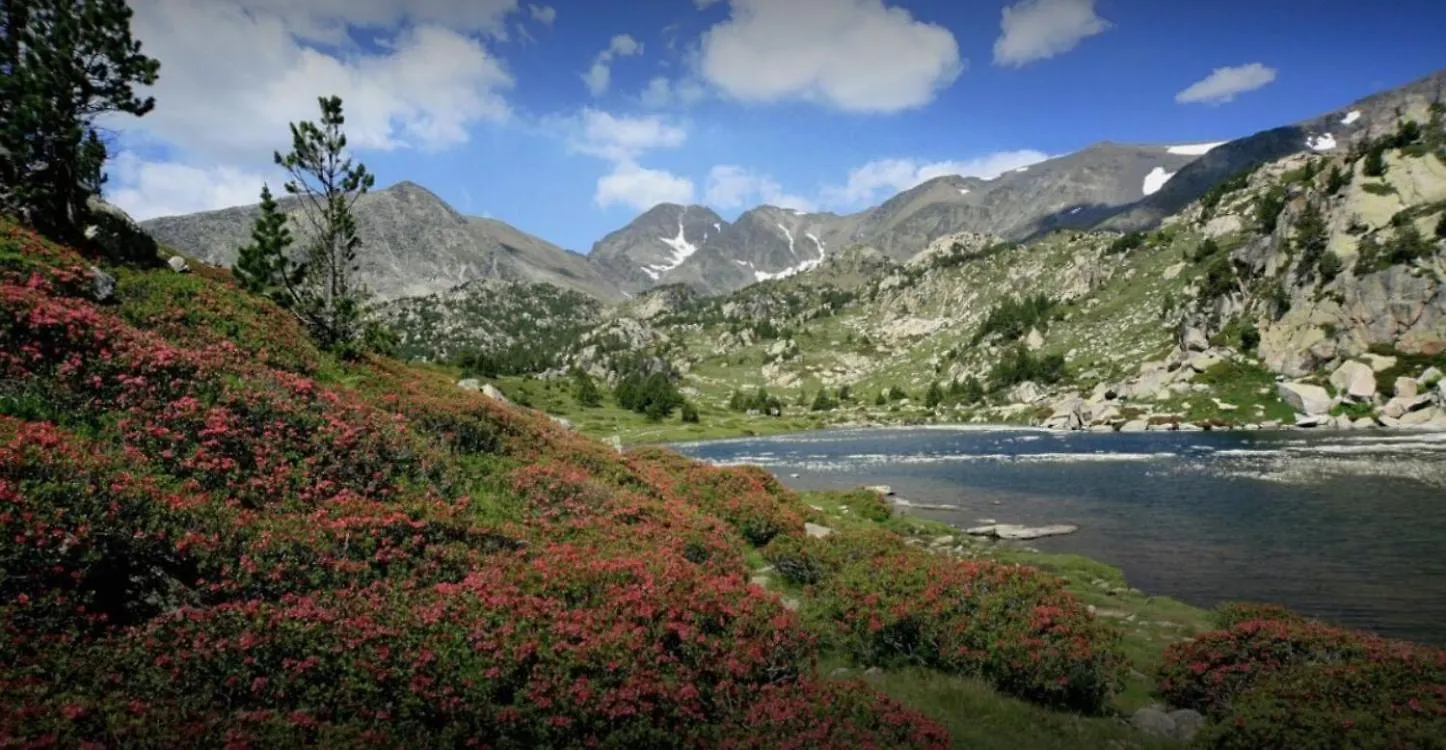 Le Lamartine, Appartement De Charme Au Coeur De Bagneres